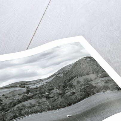 Beautiful countryside by Assaf Frank